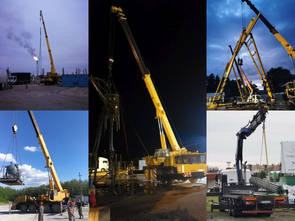 autódaruzás, autódaruzás Pécs, autódaruzás Baranya, veszélyes fák kivágása